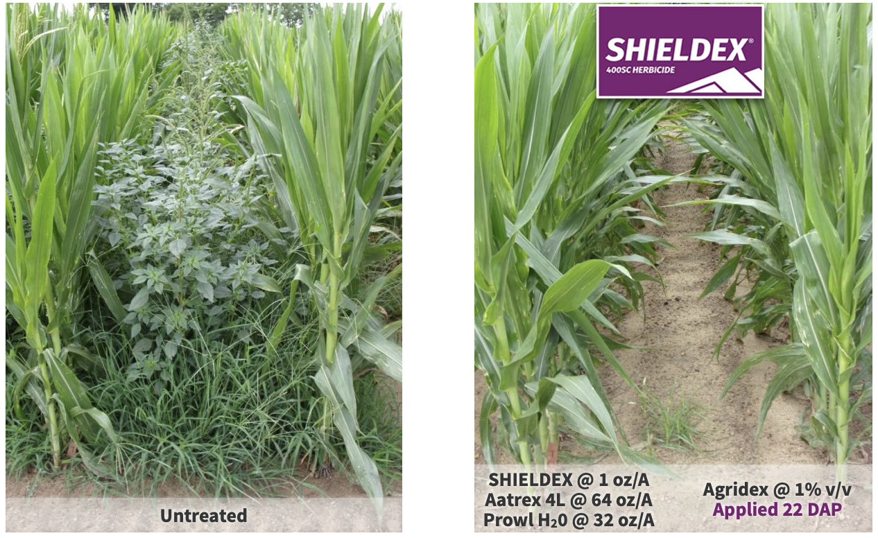 SummitAgro USA - SHIELDEX